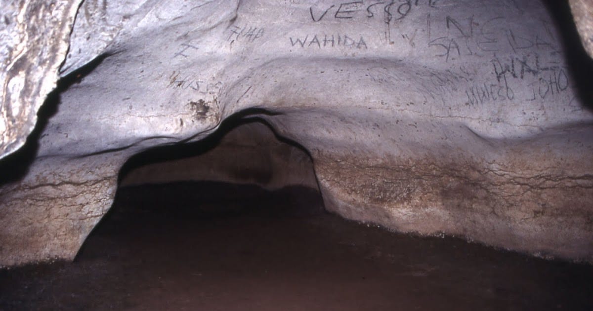 CUEVAS DE AMBONI NDARASI SAFARIS